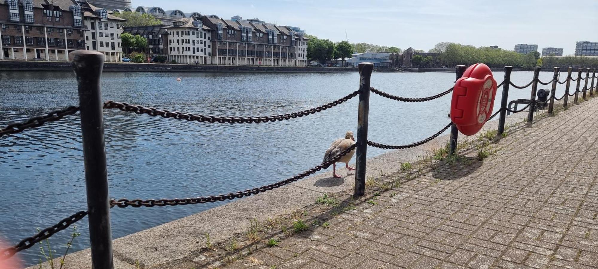 Riverside 1Br With Easy Transport 20Min To City Centre Londra Exterior foto