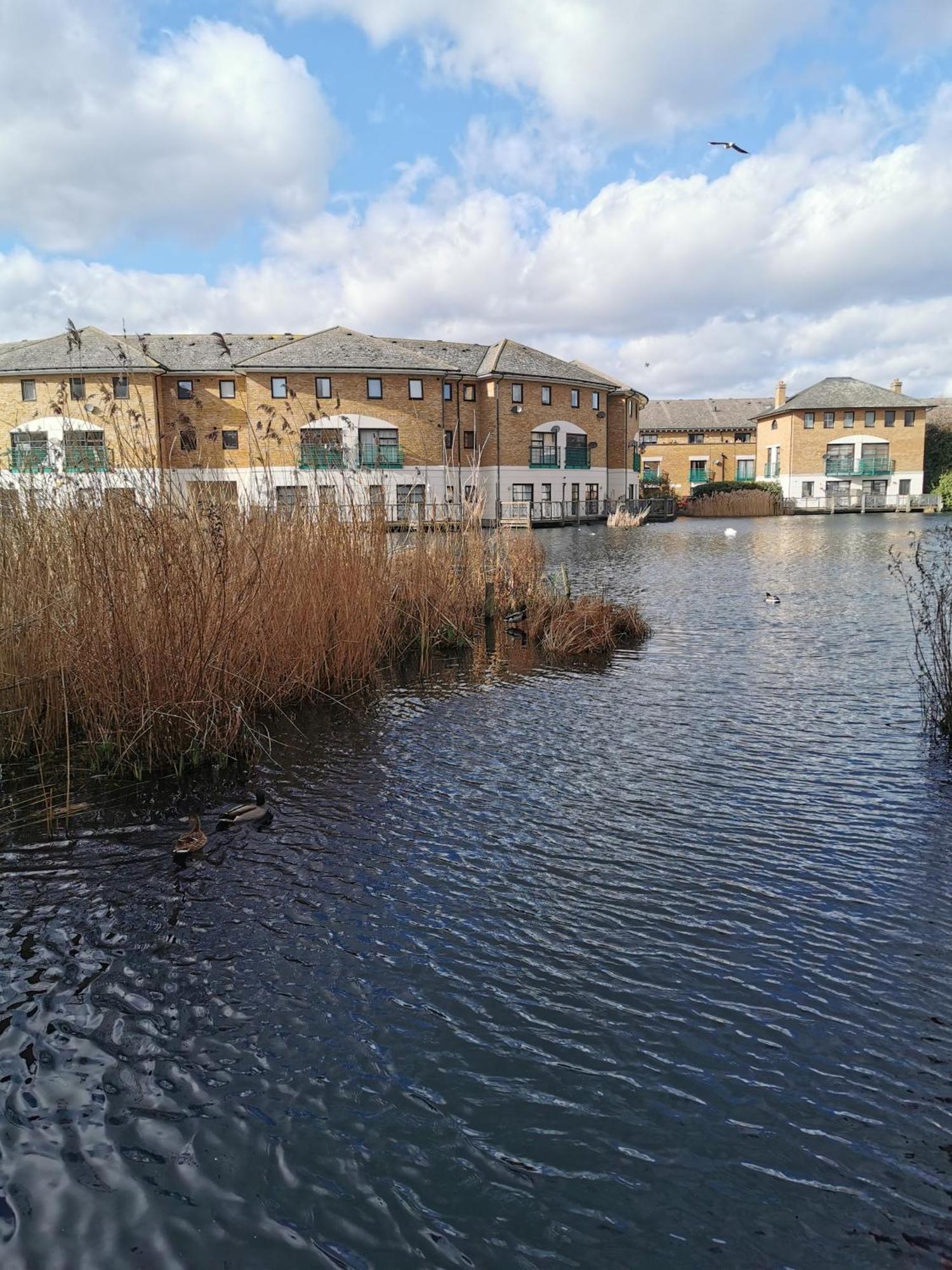 Riverside 1Br With Easy Transport 20Min To City Centre Londra Exterior foto